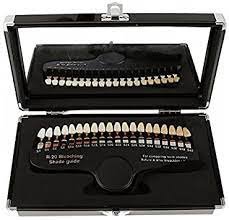 Guide de teinte dentaire de 20 couleurs